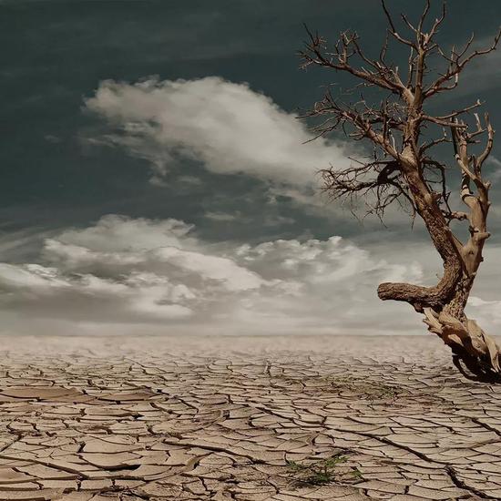 论文标题:Trajectories of the Earth System in the Anthropocene