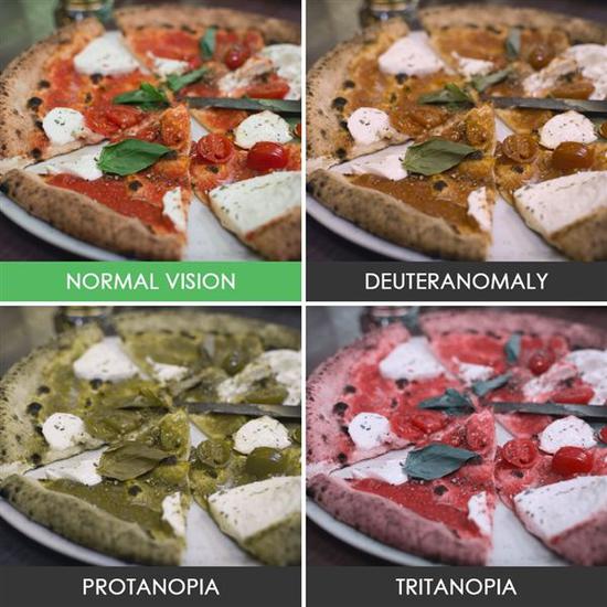 上图依次是Normal Vision（正常人）、Deuteranomalia（绿色盲）、Protanopia（红色盲）和Tritanopia（蓝黄色盲）眼中的世界。