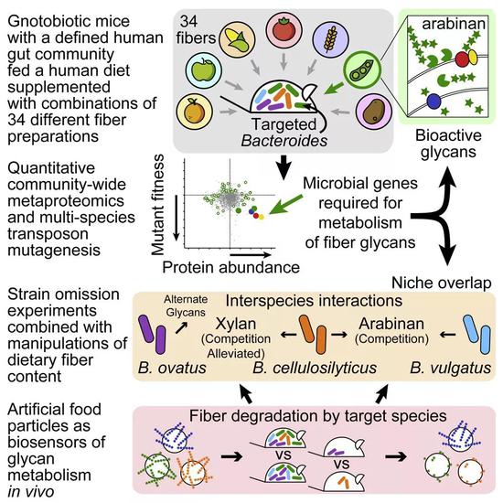 DOI:https://doi.org/10.1016/j.cell.2019.08.011