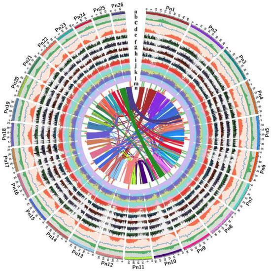 中国科学家找到胡椒辛辣的原因哪些基因起作用