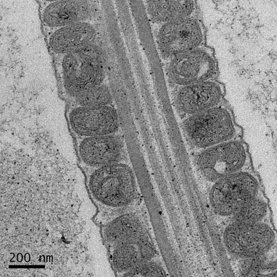 带你解锁高阶版“工具人”使用手册