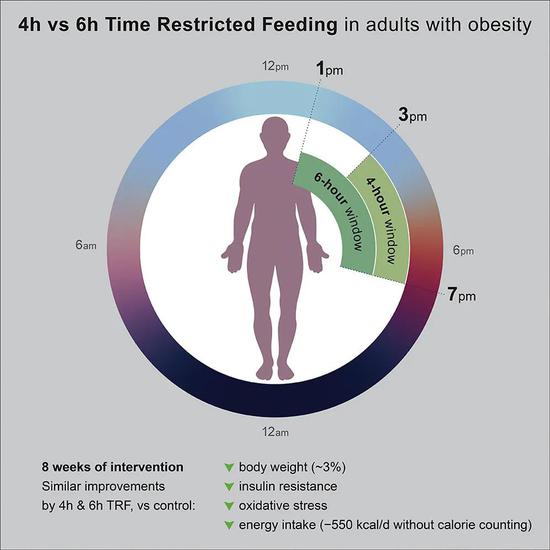 Ϊ10ܣ58BMI30-50kg/m2֮ķֻ߱Ϊ3飺ƵĶ飨19ˣ4Сʱƽʳ飨20ˣ6Сʱƽʳ飨19ˣ