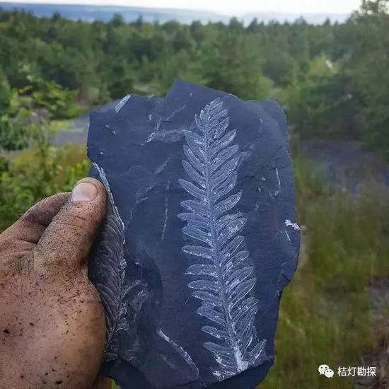 新浪科技综合：史上最经典的10张地质现象新浪科技综合2020-08-05 16:23:270阅