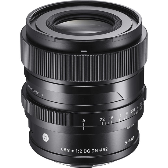 65mm F2 DG DN 