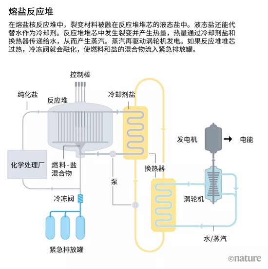 来源：美国能源部/国际原子能机构