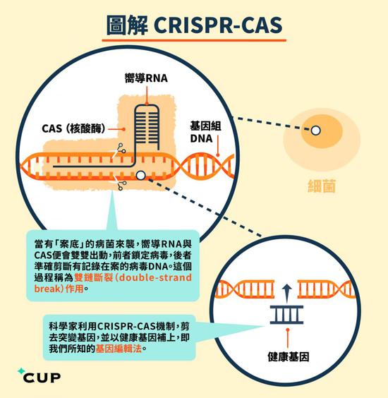 CRISPR工作原理（图自 CUP）