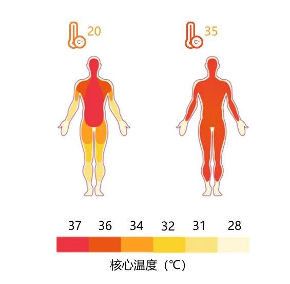 在不同环境温度下人体体温分布状态，A为环境温度20℃，B为环境温度35℃