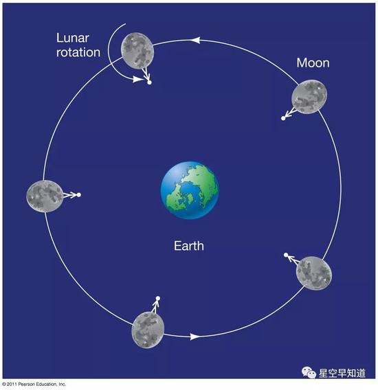  图一：月球的“同步自转”现象：由于月球自转的方向与周期，与它自己围绕地球公转的方向和周期是一样的。这样导致的一个结果是，月球永远以同一面朝向地球。换句话说，我们在地球上只能看到同一面的月球，我们看不到它的背面