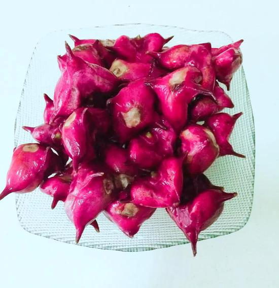 新浪科技综合@你吃的菱，是2角、4角还是0角？新浪科技综合2020-07-24 10:55:580阅