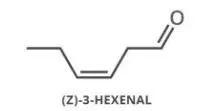 顺-3-己烯醛，青草味的代表化合物