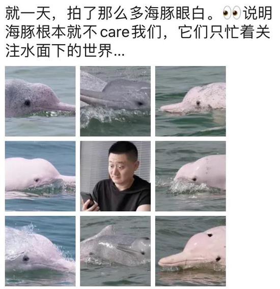 出一天野外，拍了一堆中华白海豚出水时的眼睛。仔细一看眼白都很大，原来它们根本不想看我，都在注意水下世界…… | 喵鱼酱