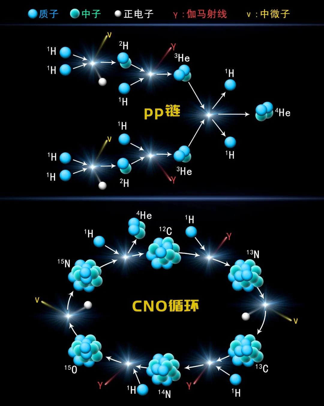 pp链与CNO循环是太阳的主要聚变过程。