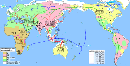 古人类迁徙路线图