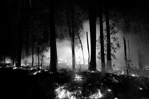  1月2日，澳大利亚吉普斯兰东部发生森林大火。图片来源：Darrian Traynor/Getty