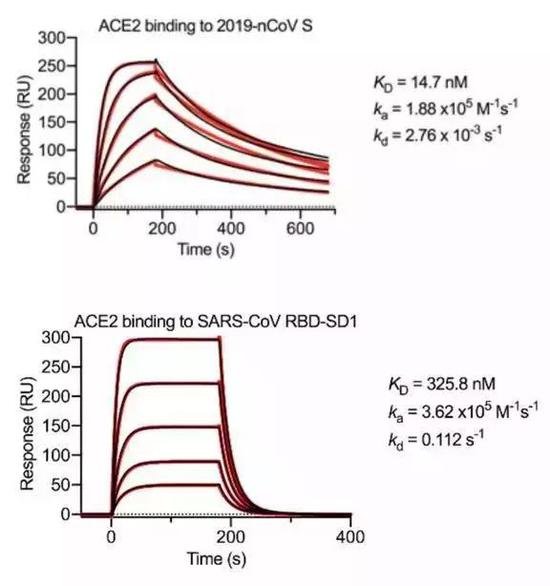 解析Science新冠病毒论文：S蛋白电镜图首次公布
