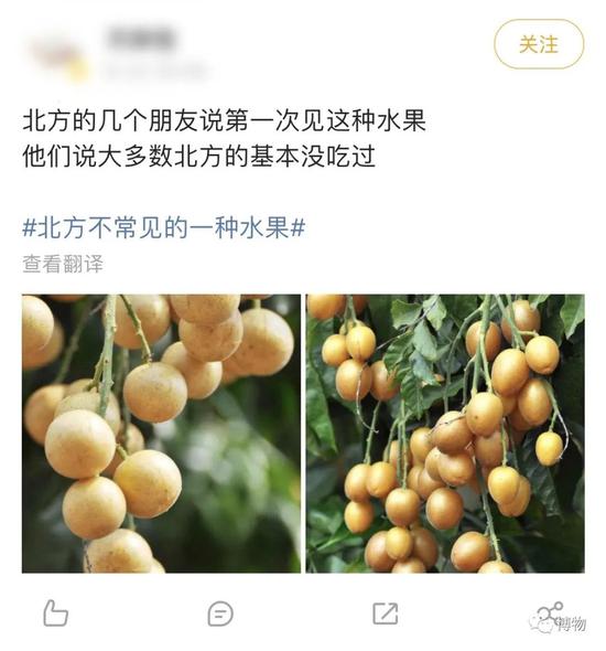 99%北方人不认识的水果，名字非常糊弄