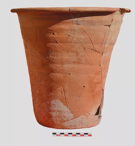 出土于意大利西西里公元 5 世纪 Gerace 古罗马乡间别墅的便壶。图片来源：Roger Wilson