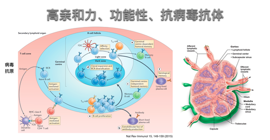 https://n.sinaimg.cn/tech/crawl/36/w550h286/20200528/d402-iufmpmn5205518.png