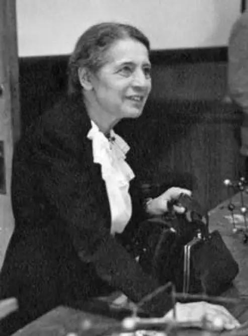 诺贝尔奖有哪些奖项 1944 年的诺贝尔化学奖只颁给了奥托·哈恩,其女性合作者莉泽·迈特纳却与诺奖失之交臂。| 图片来源:Briggs, C.A
