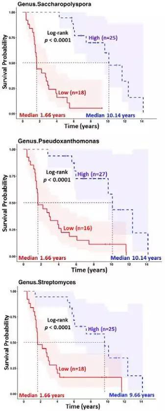 肿瘤里这三类微生物与预后明显相关