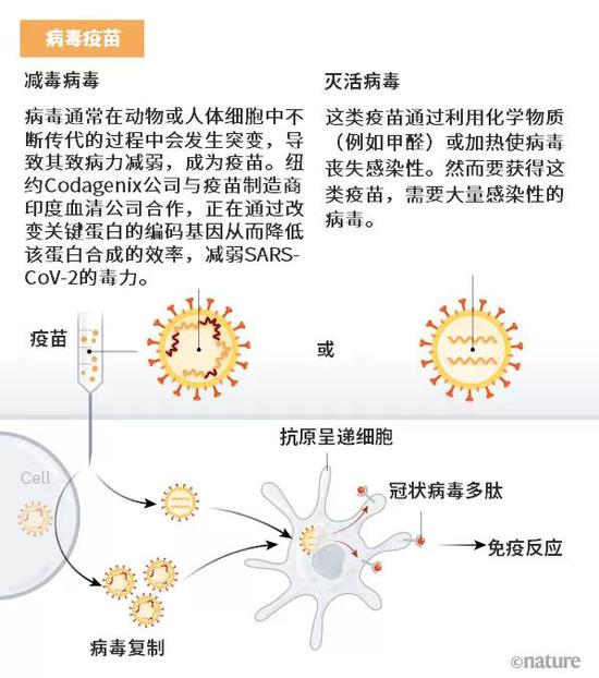 7张图带你看懂90多种新冠疫苗的研发现状