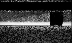 火星3号着陆器传回的唯一一张“照片”。来源：苏联