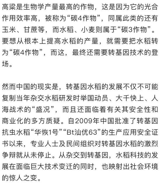 杂交水稻之父是谁