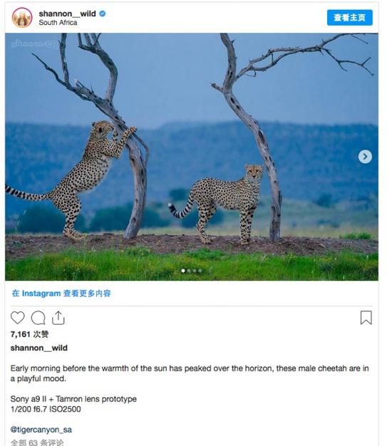 新浪科技综合|疑似腾龙新长焦150-500mm样片流出