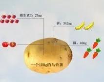 图6 马铃薯与果蔬营养成分当量