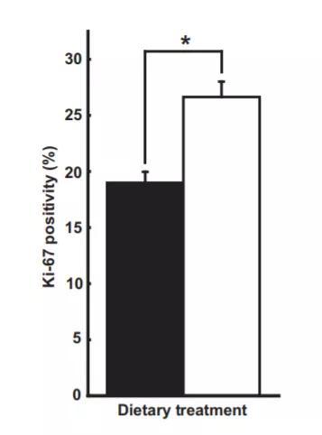 ▲Ki-67蛋白的水平上升了40.2%（图片来源：《Cancer Prevention Research》）