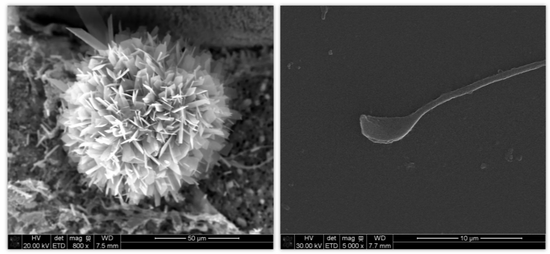 带你解锁高阶版“工具人”使用手册