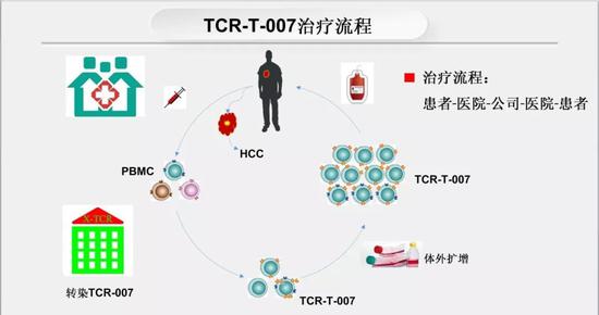 图6。 TCR-T的治疗流程 （图片来源：广州生物院）