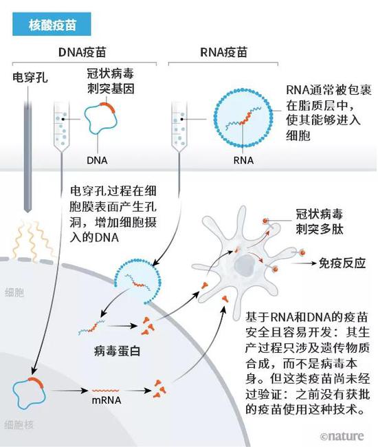 7张图带你看懂90多种新冠疫苗的研发现状