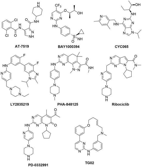 部分CDK抑制剂结构（图片来源：用于治疗肿瘤性疾病的化合物https：//patents.google.com）