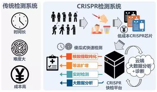 CRISDA检测系统原理（图片来源：研究团队）