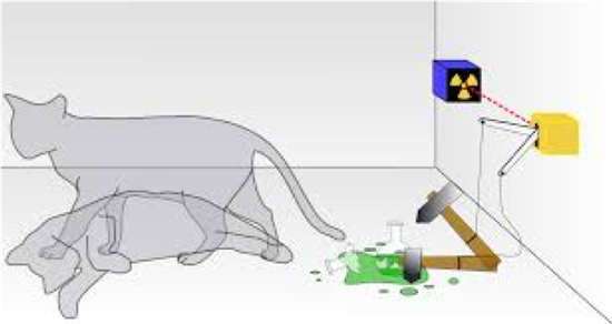 薛定谔的猫思想实验，图自维基百科