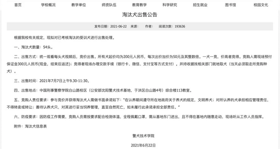 技术要够硬、性格要中庸——警犬：我太难了