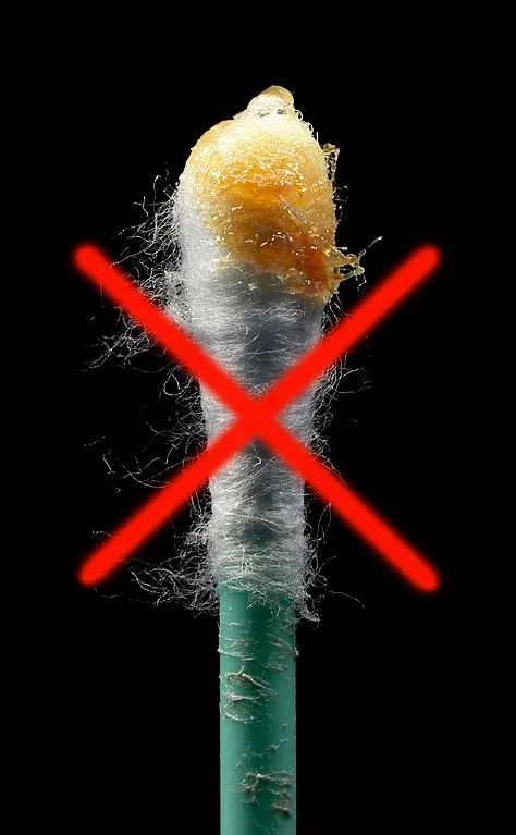 我也知道挖耳屎不好可我就是管不住这双手啊