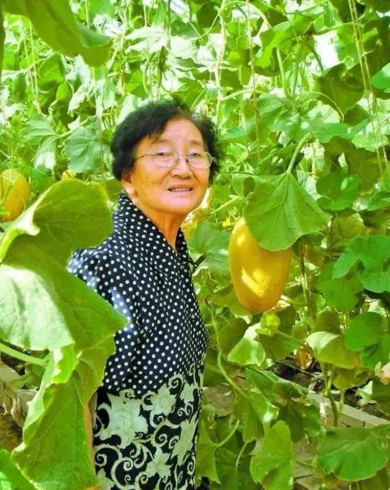 中国人能自由吃瓜，离不开这位奶奶！