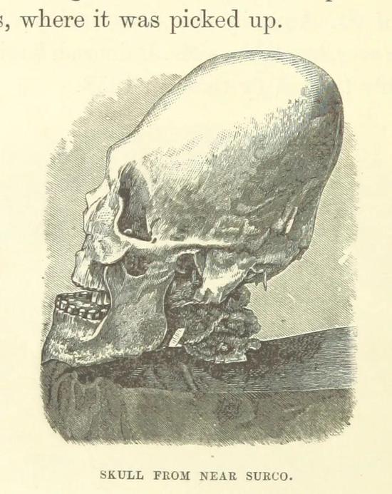 被人工改变形状的头骨图画，来自Two Years in Peru， with Exploration of Its Antiquities一书 | Wikimedia Commons