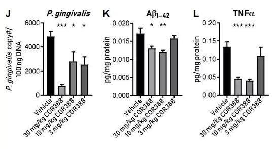 ▲小鼠实验中，一款小分子抑制剂展现出了对病理指标的改善效果（图片来源：参考资料[1]）