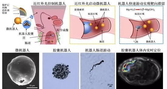 可实时深组织成像并控制的微机器人系统