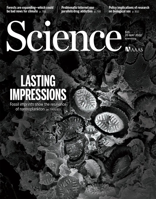 科学探索|《科学》封面：“幽灵化石”首次现身 这项发现，关乎海洋未来