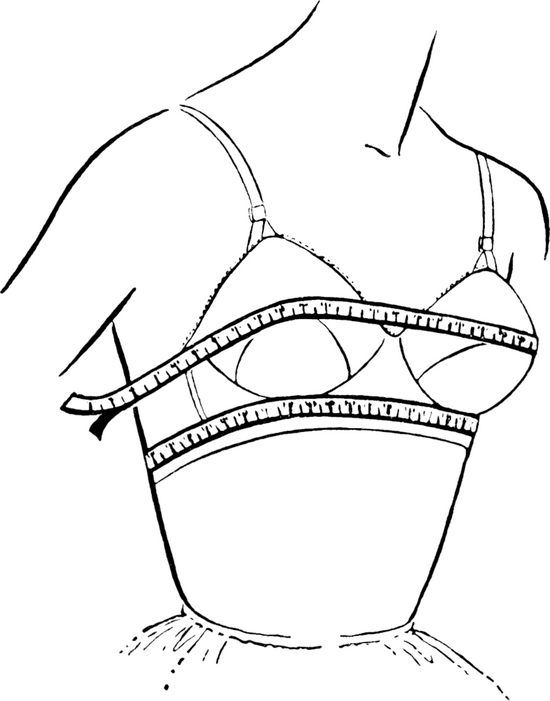 在如今描述罩杯体系中，前方的数字用于表达乳房底下的下胸围，后面的A、B、C、D则是上胸围和下胸围的差值 