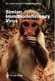 图2。黑猩猩为猴免疫缺陷病毒（SIV）的自然宿主