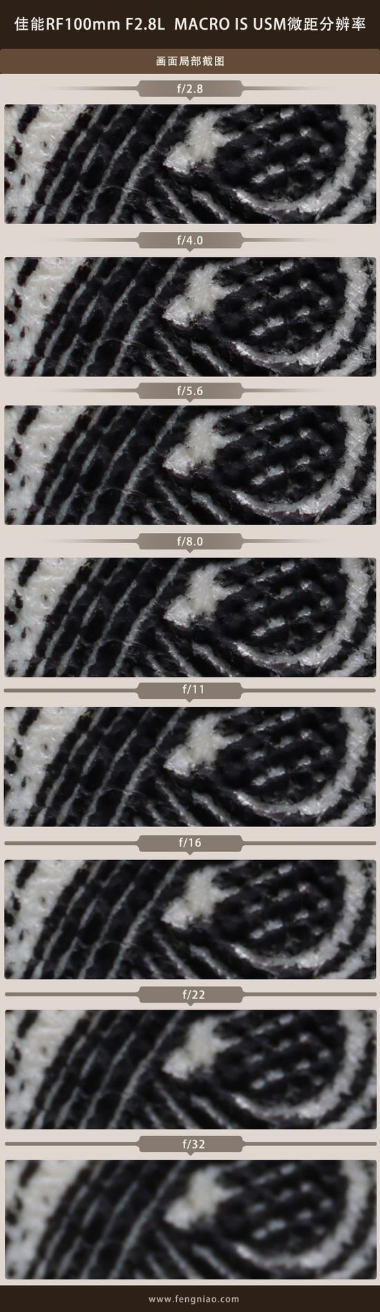 新浪科技综合|最大1.4倍放大倍率 佳能RF100mm F2.8 L MACRO IS USM评测