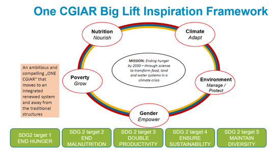 CGIAR组织对气候、贫困等方面解决方案的研究框架 / Food & Business Knowledge Platform