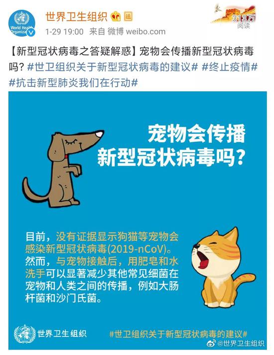 家里的猫狗 会传染新冠状病毒吗 手机新浪网 家里的猫狗 会传染新冠状病毒吗 手机新浪网