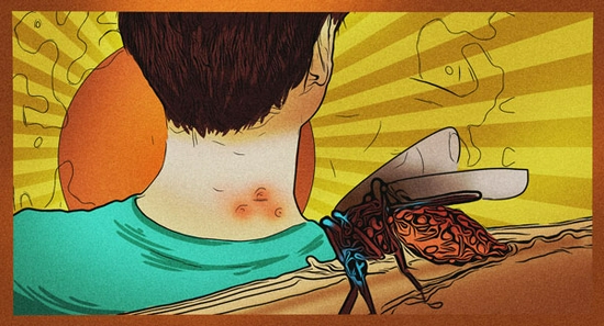 新浪科技综合|7月科学流言榜:郑州暴雨海洋馆爆炸,鳄鱼跑出来吃人了?