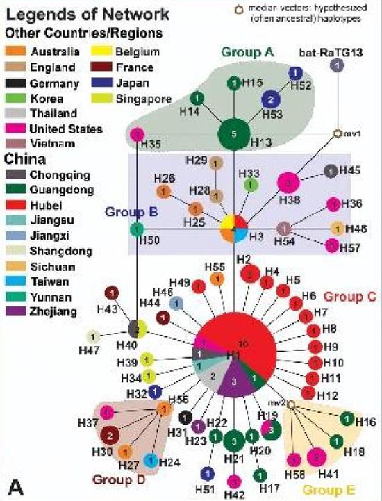 猛兽列车病毒公式图谱图片